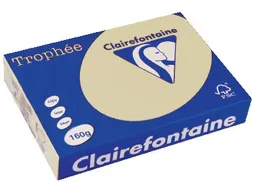 Trophée Pastel gekleurd papier A4 160 gram 250vel Chamois gems