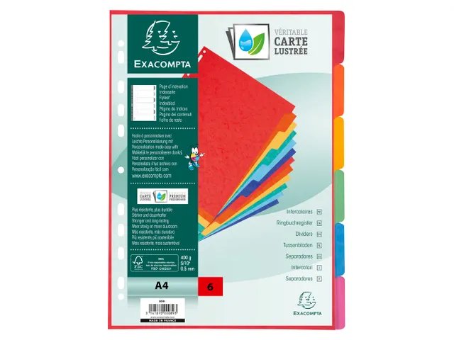 Tabbladen glanskarton 400g 6-delig A4 Assorti 17-gaats