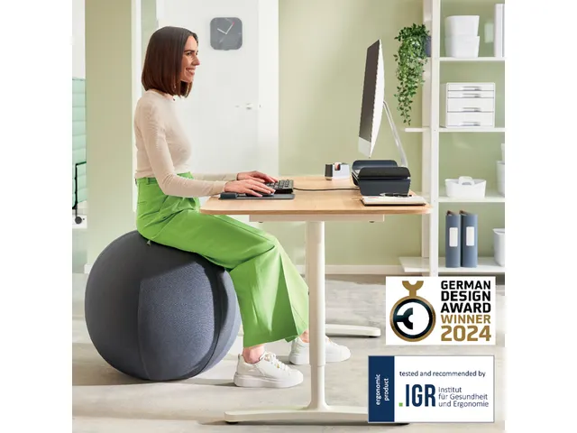 Ballon d'assise Leitz Ergo anti-basculement 55cm gris foncé