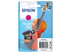 Inktcartridge Epson 250 T16N34 rood