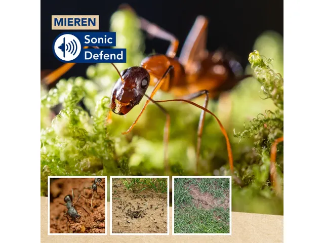 Solar Mierenverjager voor buiten