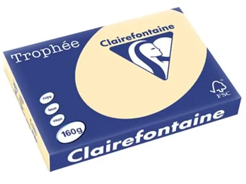 Kopieerpapier Trophee A3 160 Gram Chamois