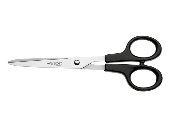 Ciseaux Westcott Buro 171mm inox manche plastique