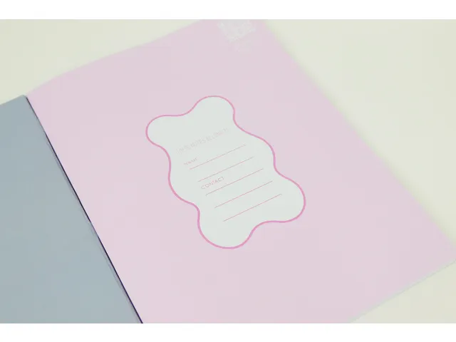 Cahier d'exercices B'LOG SWEET CANDY A5 luit 5mm 48v. 90 gr rétractab