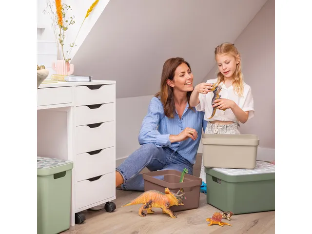 Sigma Home opbergbox 5L bruin - 25,2x17,5x12,2cm