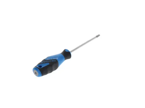 2163 Schroevendraaier TX T30 3C