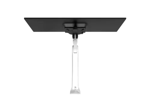 Dataflex Viewprime plus monitorarm voor 1 scherm wandbevestiging Wit