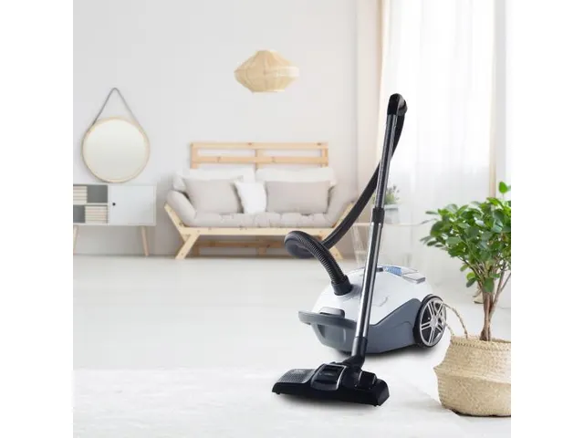 Stofzuiger Met Zak 3 Liter Wit 700w