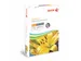 Papier Colotech+ A3 250g Blanc 250 feuilles