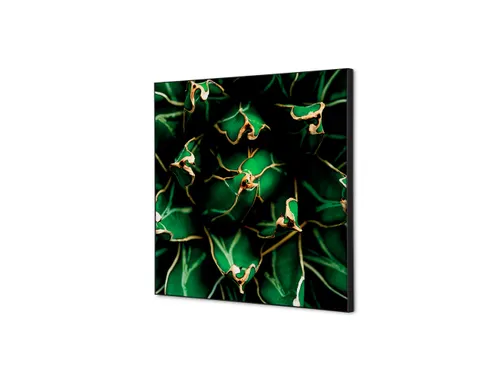 Wanddecoratie Textiel Set 40x40cm Cactus Groen