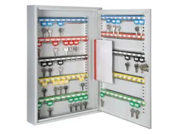 Sleutelkast Hxbxd 550X380X80Mm 100Haakjes 1Deur Ral7035