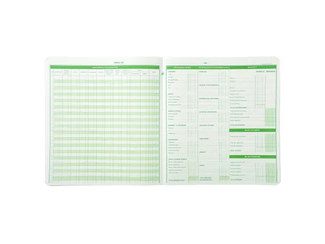 Piqûre de comptabilité et organisation familiale 27x25cm - Budget d