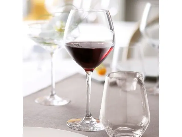 Chef & Sommelier Cabernet Vins Jeunes Wijnglas 47cl, doos 6 stuks