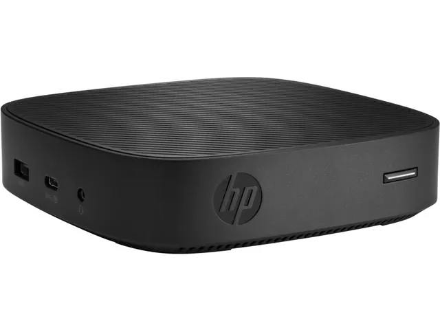 HP t430 1,1 GHz Windows 10 IoT Enterprise Zwart N4020 Thin Client