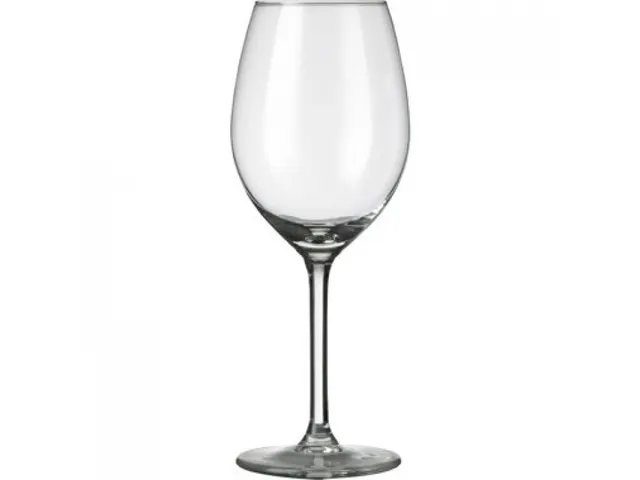 Royal Leerdam l'Esprit du Vin Wijnglas 41cl (6 stuks)