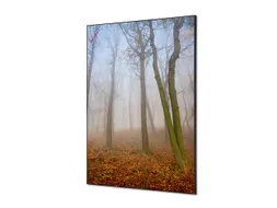 Wanddecoratie Textiel Set A1 Herfst Mist