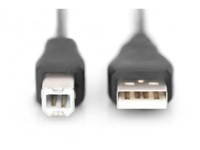 USB-aansluitkabel type A-B mannelijk/mannelijk 3m USB 2.0 compatibel
