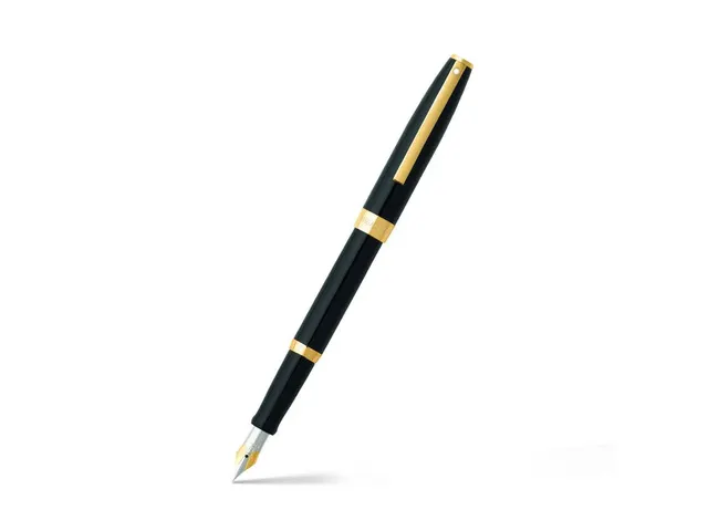 Stylo plume SHEAFFER Sagaris E9471 F Noir brillant ton or