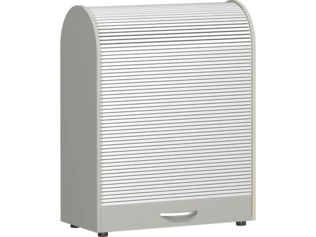 roldeurkast met verticale deur,HxBxD 1030x800x400mm,2xhouten vloer