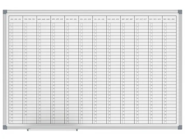 Jaarplanner MAULstandard Whiteboard 60x90cm