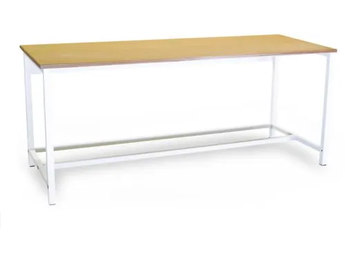 Werktafel 844x1500x750mm Werkblad Multiplex Beuken 25mm Kleur Ral3003