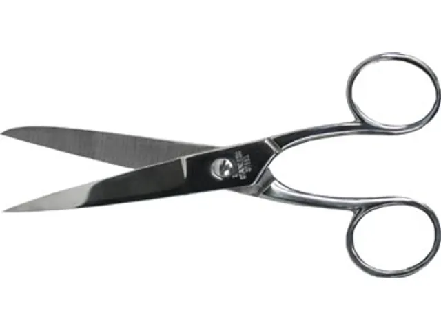 Schaar 15 Cm, Verchroomd, Symmetrische Ogen