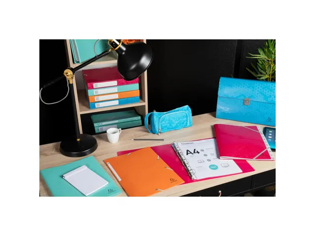Boite de classement polypropylène recyclé Maïa dos 40mm - A4 - Coul