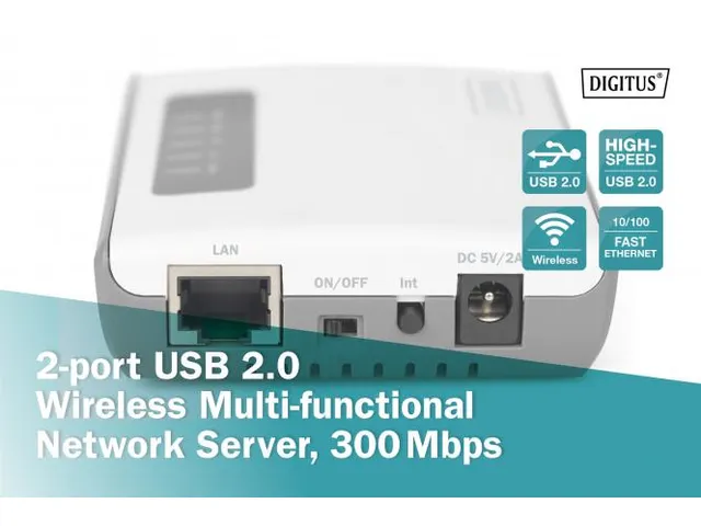 2-poorts USB 2.0 draadloze multifunctionele netwerkserver 300 Mbps
