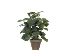 Kunstplant Mica Pilea in pot Ø11,5cm 35x25cm