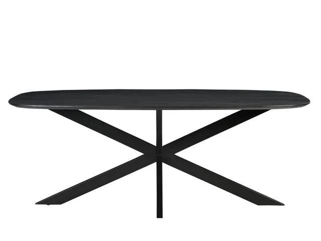 Table de réunion Harper Pied araignée Ovale danois 300x100cm Noir