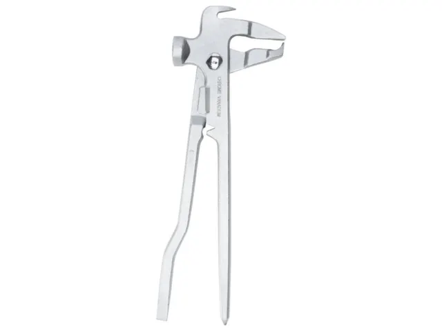 R19251000 Balansgewichttang 250mm