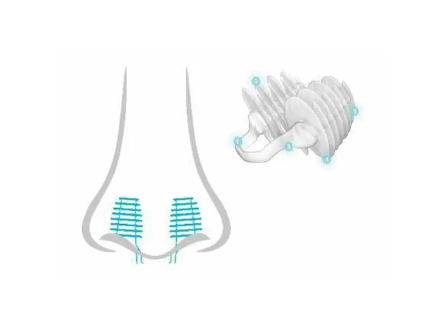 Bouchon nasal Nosa plugs anti-odeurs mentholé 100 pièces