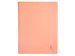 Protège-documents en polypropylène semi-rigide Aquarel PP 60 vues -