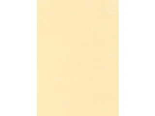 Decadry Structuurpapier Champagne A4 - 1
