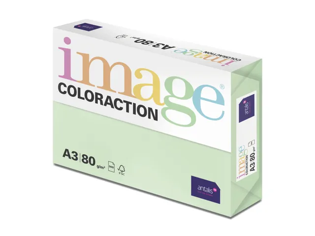 Kopieerpapier Forrest Middelgroen A3 160 Gram 500 Vel