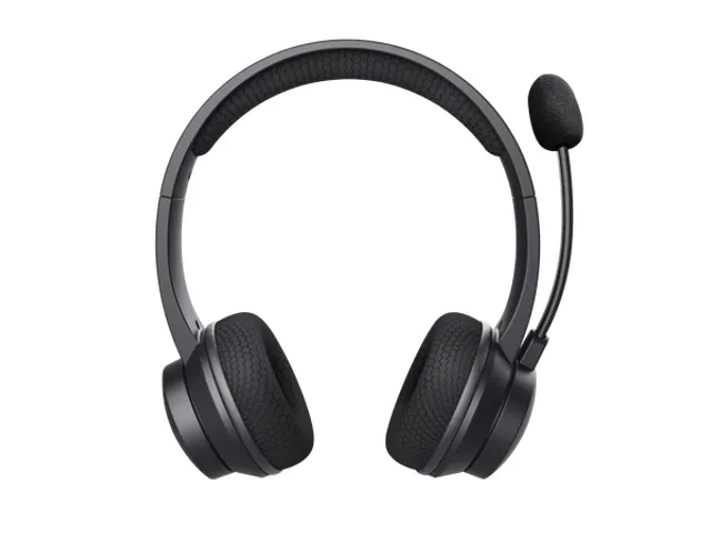 Trust 25463 Ayda draadloze ENC-headset Zwart