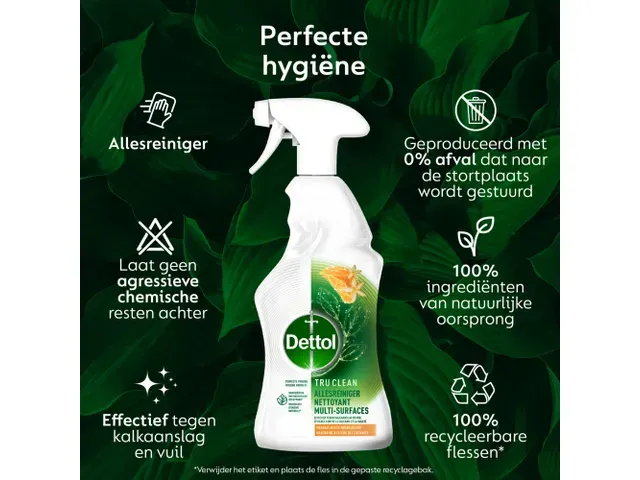 Nettoyant multi-surfaces Dettol TC Mandarine & Citron spray 500ml
