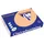 Trophée Pastel gekleurd papier A4 80 gram 500vel Zalm