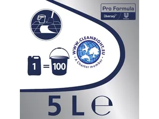 Cif Allesreiniger Citroen 5 Liter - 3