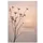 Wenskaart Hallmark condoleance bloemen pak à 6 stuks