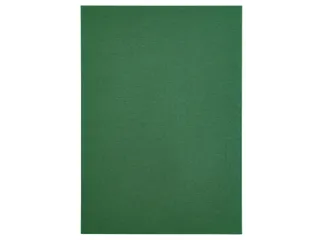 Kopieerpapier Papicolor A4 100gr 12 vel dennengroen - 3