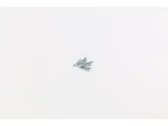 M6 X 40 mm. Wiel Schroef