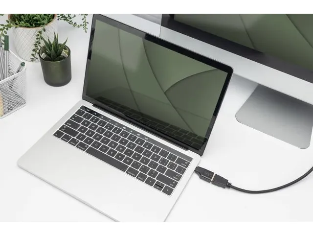 4K USB-adapter USB-C/mannelijk naar HDMI A/vrouwelijk