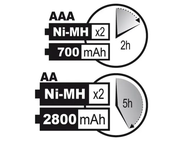 Snellader Voor Nimh-Batterijen Met Usb-Uitgang