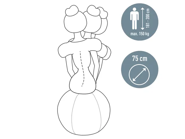 Leitz Ergo actieve zitbal anti-rol met stop-functie 75cm lichtgrijs