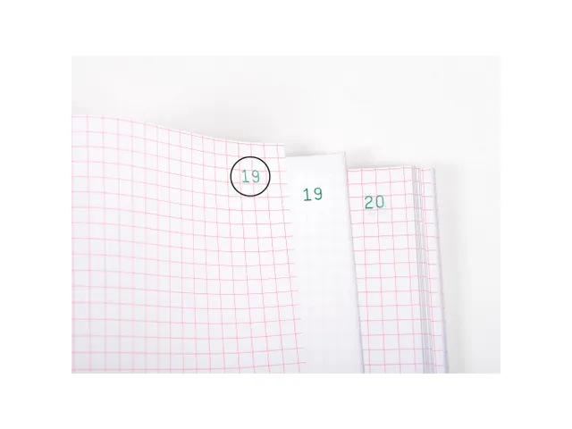 Manifold Encaissements 29,7x21cm 50 feuillets dupli autocopiants -