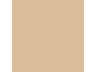 Servet 20x20cm BIO Dunisoft 1/4 vouw bruin 2880 stuks - 2
