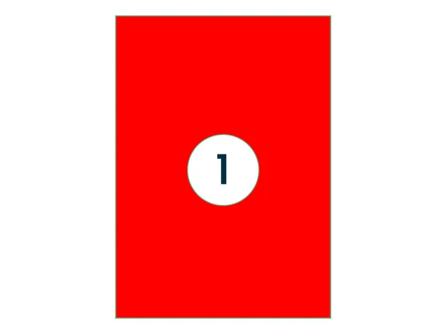 Etiket Rillprint 210x297mm fluorrood 100 etiketten