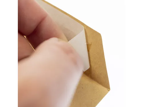 Envelop Raadhuis 229x324mm C4 akte plakstrip kraft 110gr 250 stuks in