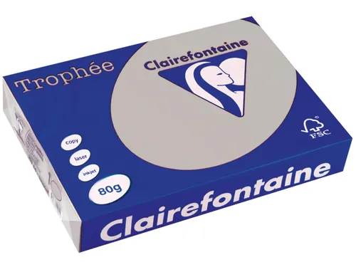 Trophée Pastel gekleurd papier A4 80 gram 500vel Lichtgrijs
